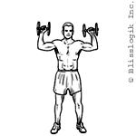 #3 - Shoulder Press Dumbbell exercises for shoulders muscles