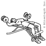 #7 – Lying Fly Dumbbell exercises for chest muscles