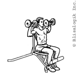 Back Supported Shoulder Press Dumbbell exercises for shoulders muscles